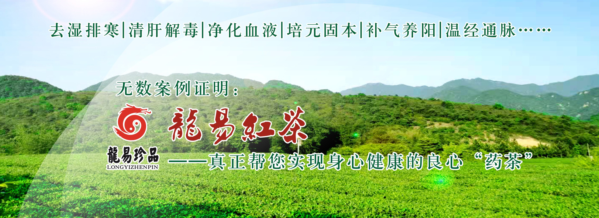 龍易紅茶：白發(fā)變黑、女性崩漏、療愈痔瘡、延緩衰老、調(diào)理三高、溫經(jīng)通脈